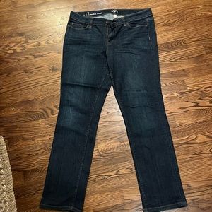 Ann Taylor Loft Jeans